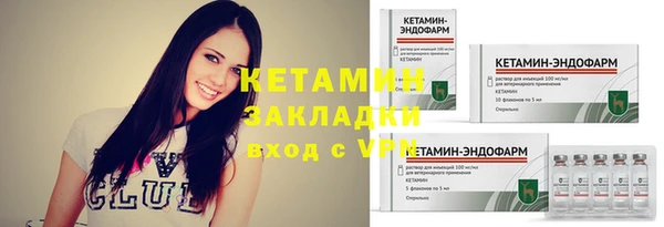 прущие грибы Покачи