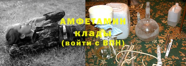 индика Аркадак