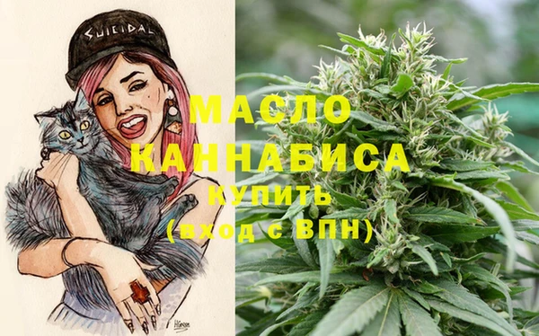 индика Аркадак