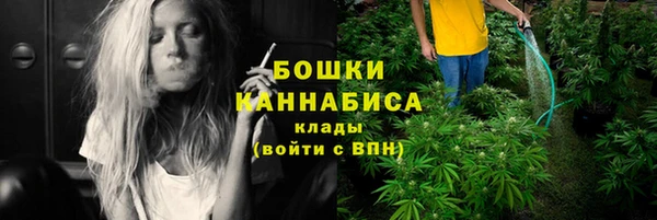 ешки Пересвет