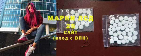 индика Аркадак